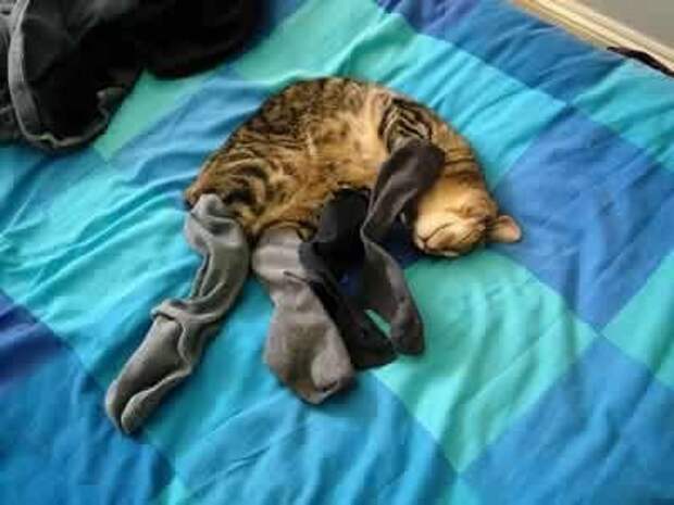 So warm on my paws.