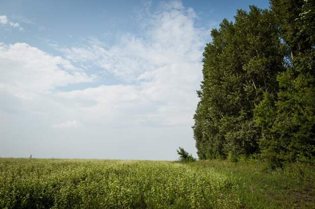 20130803-DSC_0948 20130803-DSC_0948