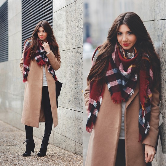 4239024_Camel_and_tartan