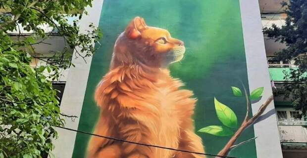 В Ялте на «многострадальном» доме по улице Кривошты появилось симпатичное граффити