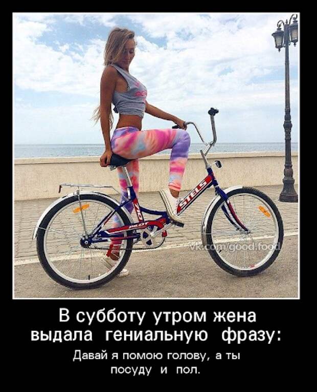 Демотиватор - Жена выдала фразу, смешные демотиваторы 2020 года