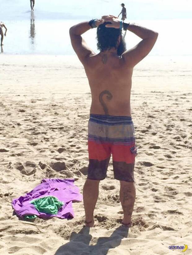 Прикольные картинки - 1899