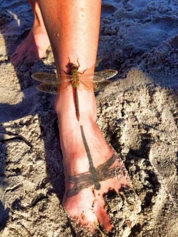 10 фото, на которых запечатлены редкие моменты