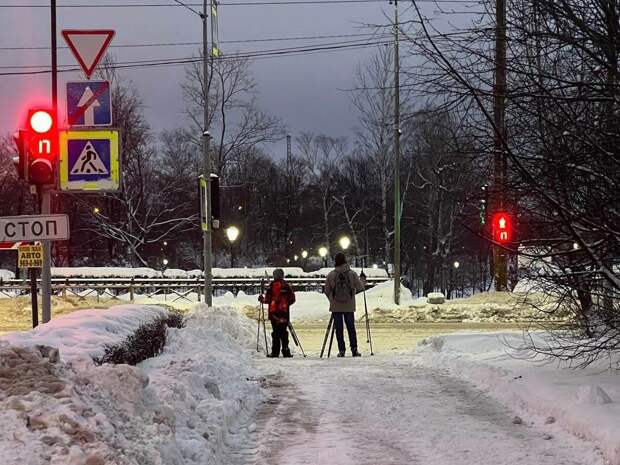 С начала зимнего периода в Петербурге выпало 76 см снега