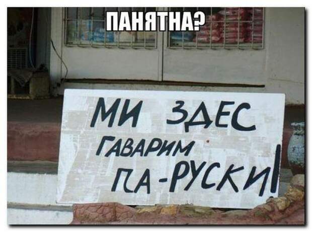 Свежие прикольные картинки