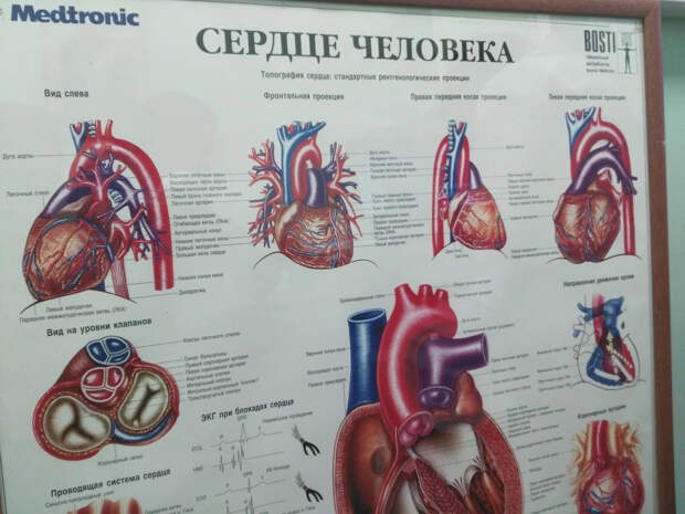 С началом весны врачи напомнили о рисках инфаркта и профилактике болезней сердца