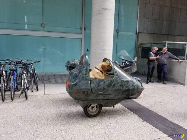 Прикольные картинки - 1899