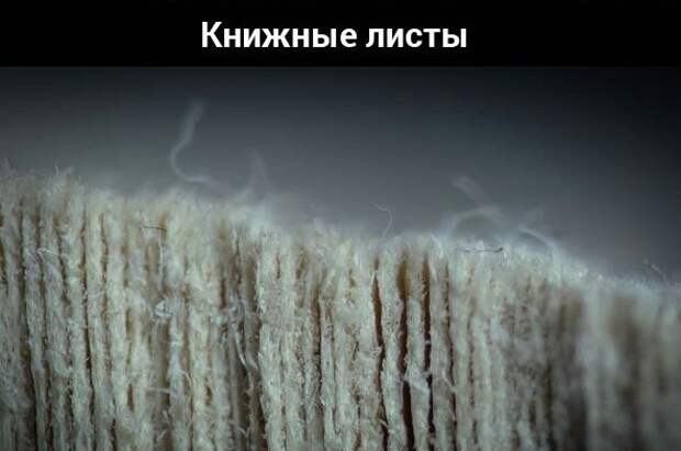 Предметы из повседневной жизни под большим увеличением. Предметы из повседневной жизни под большим увеличением.