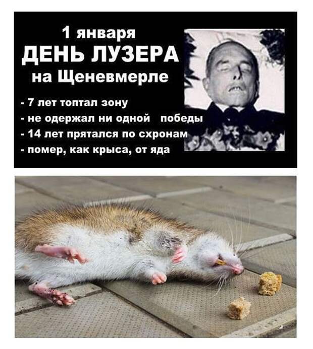 2OWp6ZsLKmo.jpg