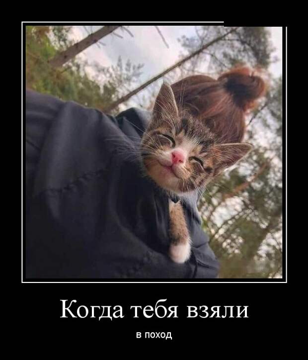 Демотиваторы (30 фото)