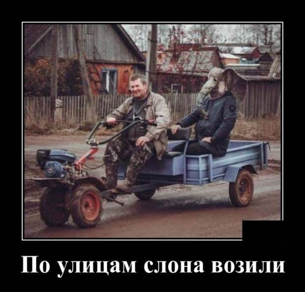 Демотиваторы (20 фото)