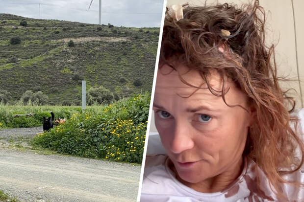 Стая собак напала на российскую легкоатлетку Масанову во время пробежки на Кипре