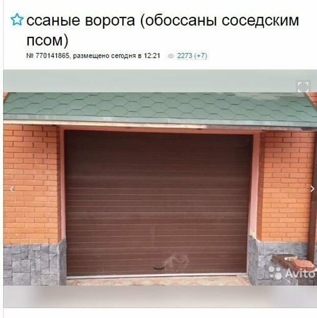 Абсурдные объявления с Авито, которые совсем не ожидаешь увидеть Абсурдные объявления с Авито, которые совсем не ожидаешь увидеть