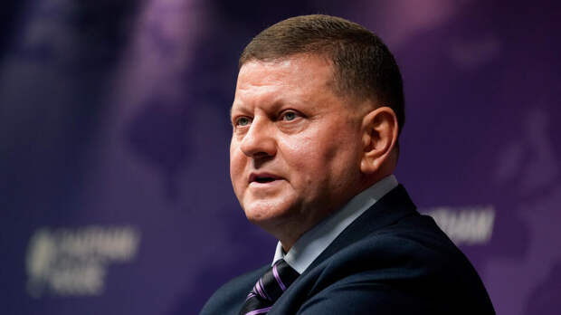 Залужный сравнил российскую армию с Майком Тайсоном