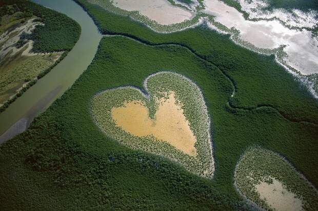 Естественное образование мангровой растительности, которая по форме напоминает сердце