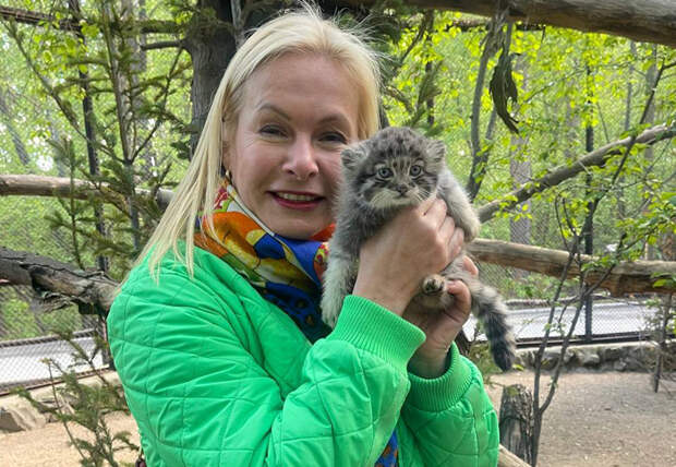 В Новосибирском зоопарке малыша манула назвали Анечка – в честь бывшего вице-мэра