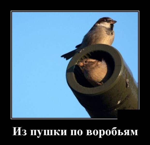 Демотиваторы (30 фото)