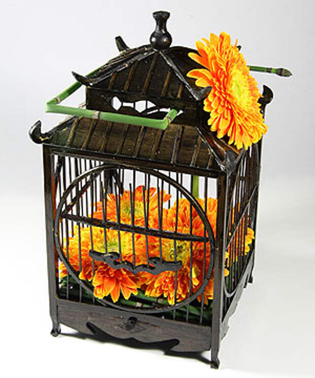 Цветочные Bird Cage Гербера