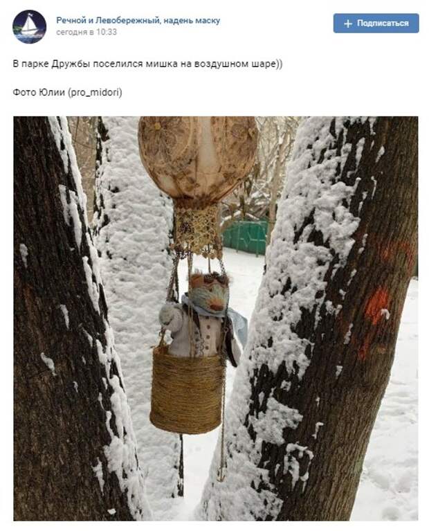 Фото дня: в парке Дружбы поселился медведь