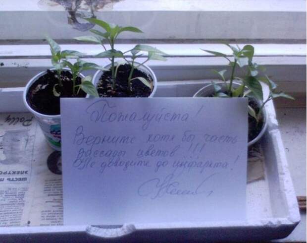 Прикольные объявления для соседей (50 фото)