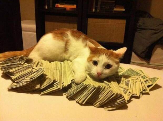 3821971_dollar (640x475, 50Kb)