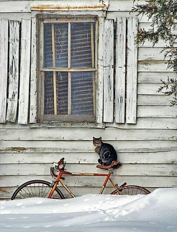 Winter Bike