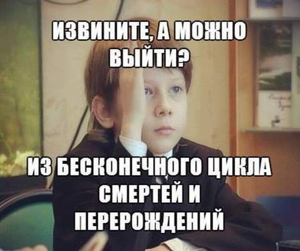 Прикольные картинки Прикольные картинки