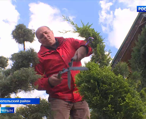 Виртуозы с секаторами: как садовники Крыма преображают растения