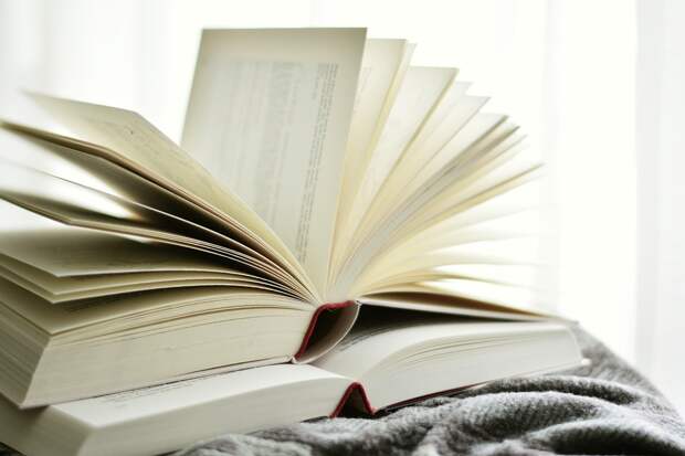 Книга/pixabay.com