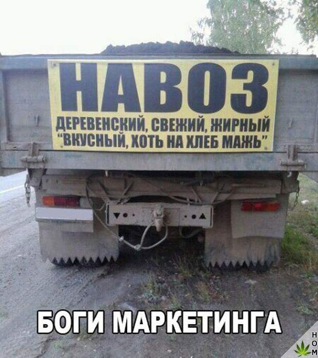 Смешные картинки с надписью для веселья (11 фото) Смешные картинки с надписью для веселья (11 фото)