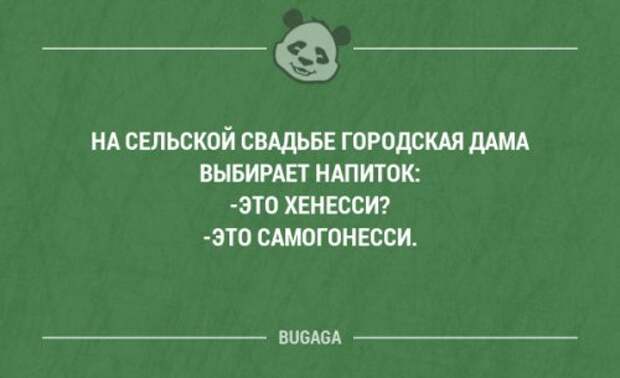 Прикольные фразы в картинках с надписями. Часть 76 (17 шт)