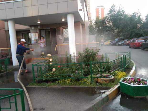 В Северном интенсивно поливают зелёные насаждения