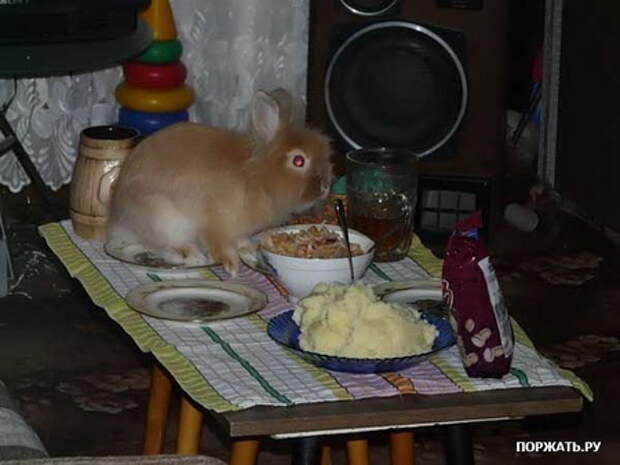Приколы еще не надоели ?:)