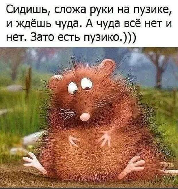 22 классных веселых анекдота