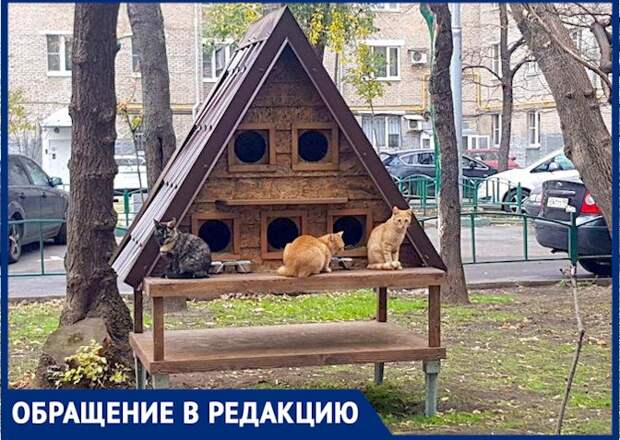 Перед зимой дворовым животным в Москве построили 