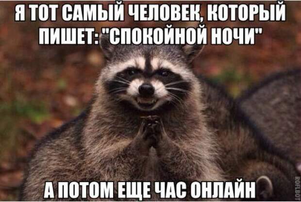 Прикольные фотомемы