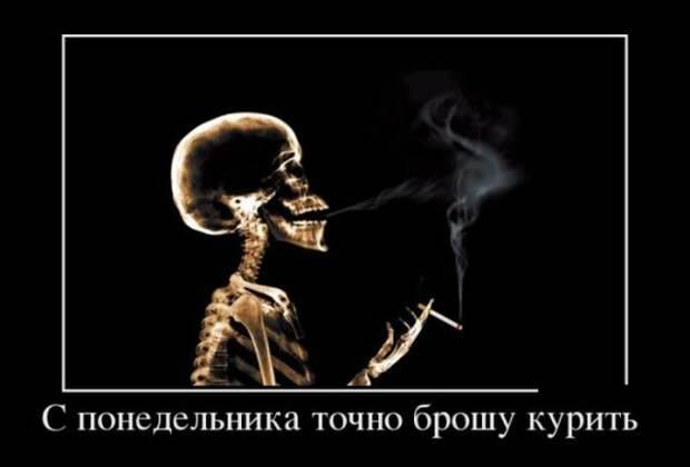 Демотиваторы (30 фото)