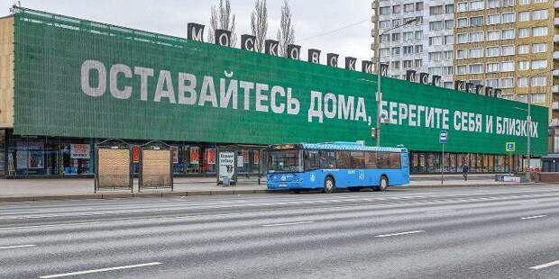 осква учла мировой опыт: за нарушение режима самоизоляции будут штрафовать. Фото: mos.ru