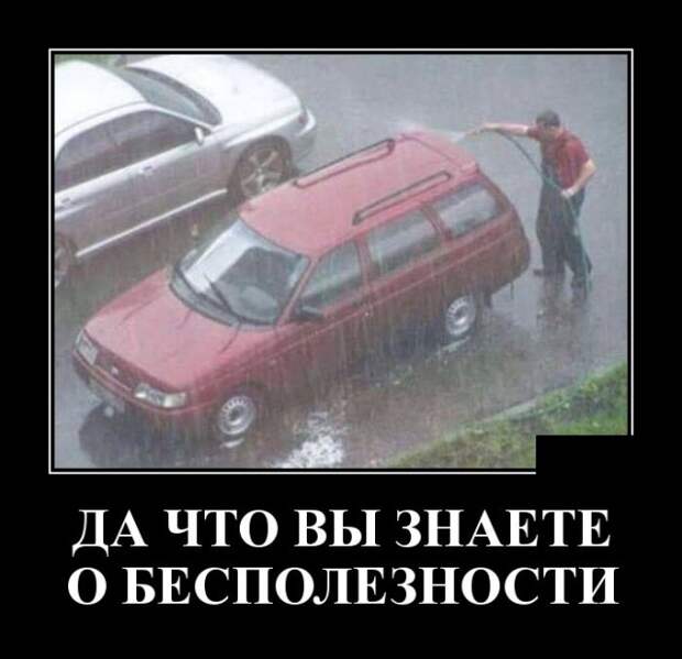 Смешные и прикольные демотиваторы для веселья (10 фото)
