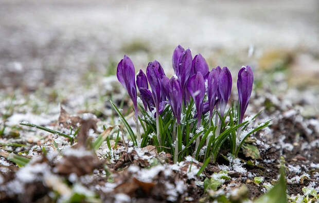 В Тульской области 23 марта будет тепло и без осадков