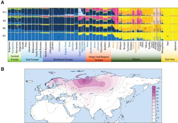 График анализа ADMIXTURE уралоязычных популяций по аутосомным SNP в контексте популяций Евразии (К3, К6, К9, К11). Названия популяций написаны голубым цветом для финно-угорских и оранжевым – для самоедских. Карта частоты компонента new-3