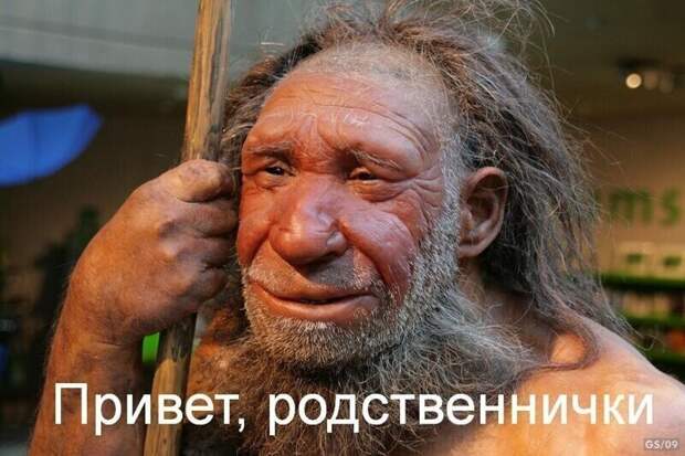 Ученые рассказали о главных загадках неандертальцев Ученые рассказали о главных загадках неандертальцев