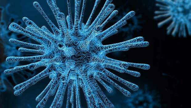 Россиянам назвали три симптома, которые характерны для штамма коронавируса «Дельта»