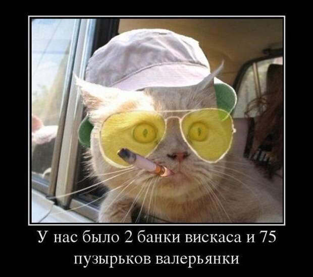 Всяко - разно 6  )))
