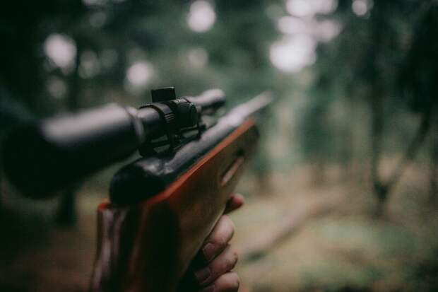В Ленобласти в рамках «охоты» на браконьеров проверили уже более 20 охотников
