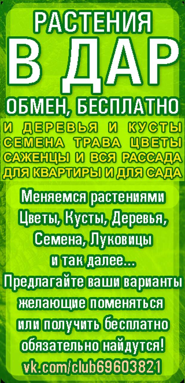 Обмен растениями. Обмен цветами. Приму в дар саженцы цветов. Обменяю цветы.