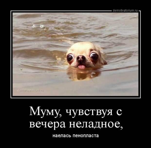 Прикольные демотиваторы на Бугаге (17 шт)