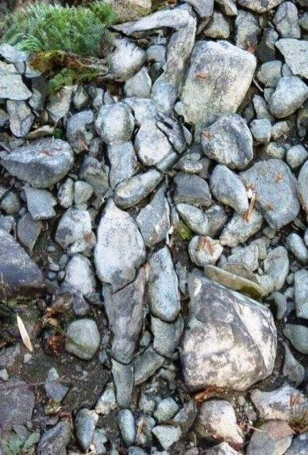 Приколы, приколы, приколы...