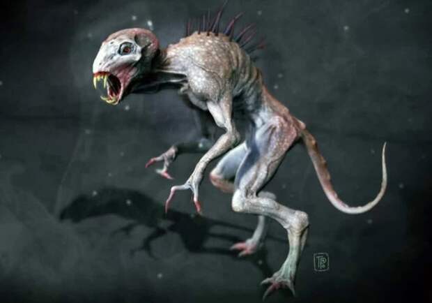 Чупакабры - это наши потомки из будущего Чупакабры - это наши потомки из будущего Городская легенда, городские легенды, миф или правда, мифы, мифы истории, монстр, страшилки, чупакабра