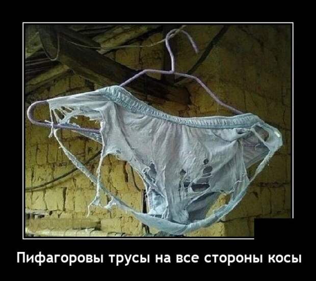 Демотиваторы 10 декабря 2021 года